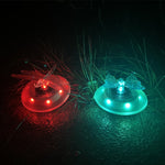 Luce solare galleggiante RGB per piscina e giardino