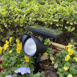 Lampada da giardino solare LED con luce colorata