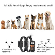 PaiPaitek PD529-2 Dispositivo di addestramento remoto per cani Forniture per addestramento di animali domestici Attrezzatura per addestramento anti-abbaio, PD529-2