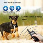 Dispositivo addestramento remoto cani PaiPaitek PD529-2