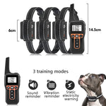 Dispositivo addestramento cani PaiPaitek PD529-3 con telecomando