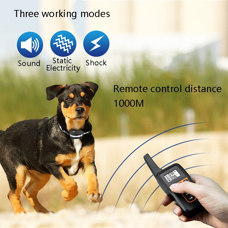 Dispositivo addestramento cani PaiPaitek PD529-3 con telecomando