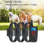 Collare anti-abbaio per cani con telecomando PaiPaitek PD526-3