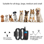 Collare elettronico addestramento cane PaiPaitek PD526V-2