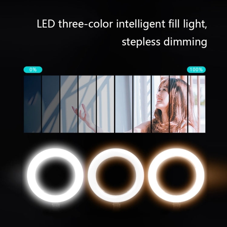 Supporto fotografico da tavolo con luce LED e clip telefono