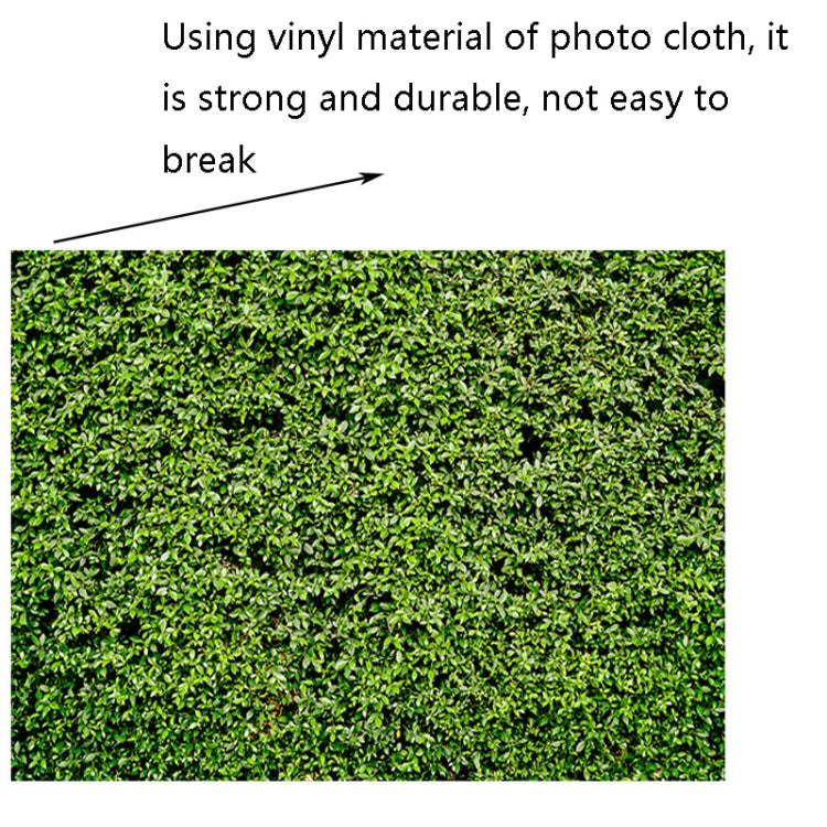 Image alt