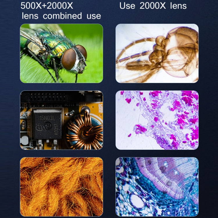 Microscopio biologico digitale 2000X WiFi USB HD
