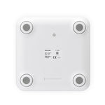 8066 Bilancia elettronica intelligente per grasso corporeo Bilancia da casa Bluetooth, Battery Style(White), Charging Style(White)