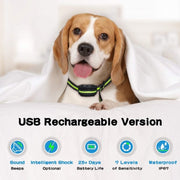 Addestratore automatico per animali domestici ad alta sensibilità per la difesa da cattiva condotta, Automatic Waterproof