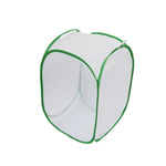 Gabbia di osservazione pieghevole per insetti 40x40x60 cm
