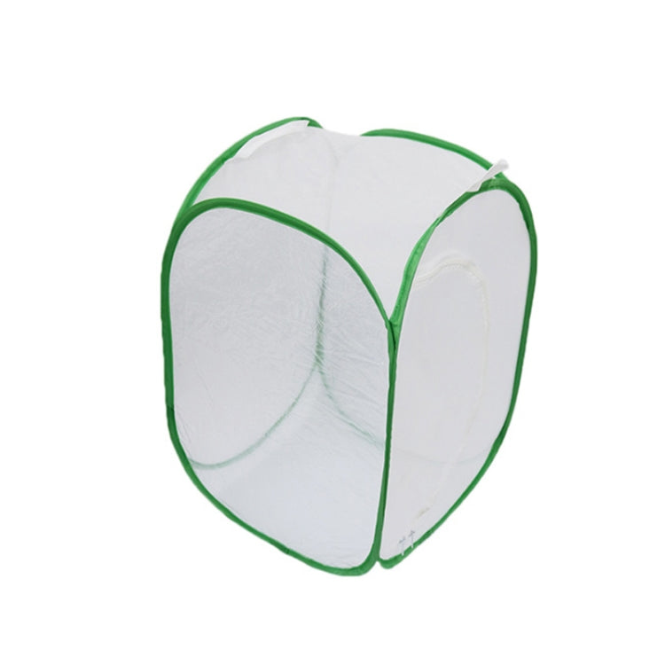 Gabbia di osservazione pieghevole per insetti 40x40x60 cm