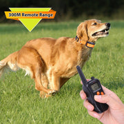 Dispositivo di addestramento per cani con collare antiabbaio telecomandato 998DC Bark Stopper, UK Plug