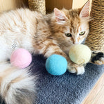 3 PCS Funny Cat Toy Ball Simulazione Palla vocale animale, EVA Material, Wool Material