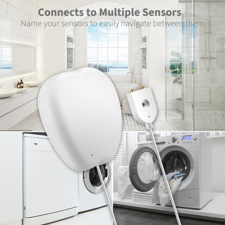 RSH-WL03 Tuya Smart Water Level Alarm Rilevatore remoto di perdite d'acqua WiFi