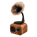 Ft-05 Wireless Retro Bluetooth Altoparlante Grammofono Mini Player