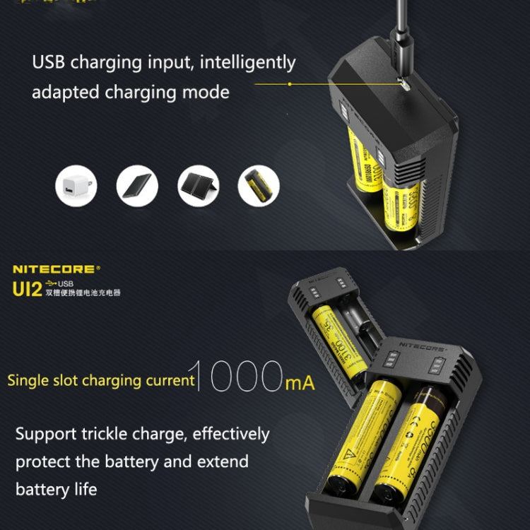 Caricabatterie intelligente doppio slot per batterie al litio