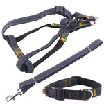 Set guinzaglio, collare e cinturino toracico per cani in denim