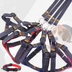 Set guinzaglio, collare e cinturino toracico per cani in denim