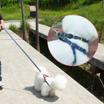 Set guinzaglio, collare e cinturino toracico per cani in denim