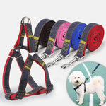 Set guinzaglio, collare e cinturino toracico per cani in denim