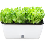 Vaso da fiori rettangolare in plastica autoassorbente per balcone familiare, stile:, SC01 Extra Large Pot, SC02 Big Pot