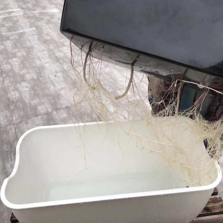 Vaso da fiori rettangolare in plastica autoassorbente per balcone familiare, stile:, SC01 Extra Large Pot, SC02 Big Pot