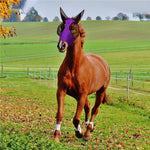 MMZ-001 Maschera da cavallo traspirante Maschera per insetti e zanzare Forniture equestri, Horse Mask (Blue), Horse Mask (Purple), Horse Mask (Rose Red), Horse Mask (Grey), Horse Mask (Black)