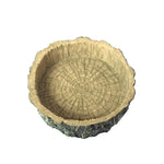 Rettile Acqua Cibo Bacino Tartaruga Lucertola Serpente Bacino d'acqua, 3 PCS Little Red Food Bowl, 2 PCS Small Gray Food Bowl, 2 PCS Wood Pattern Food Bowl, 2 PCS Large Food Bowl