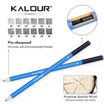 KALOUR Set di matite per schizzi 33 in 1 Forniture artistiche per pennelli per principianti, 33 in 1