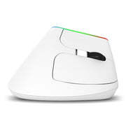 DELUX M618C 6 Tasti 1600 DPI RGB Vertical Wireless Bluetooth Dual Mode Mouse, M618C(White), M618C(Black)