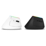 DELUX M618C 6 Tasti 1600 DPI RGB Vertical Wireless Bluetooth Dual Mode Mouse, M618C(White), M618C(Black)