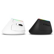 DELUX M618C 6 Tasti 1600 DPI RGB Vertical Wireless Bluetooth Dual Mode Mouse, M618C(White), M618C(Black)