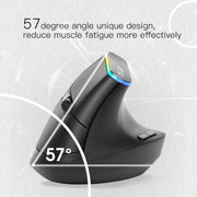 DELUX M618C 6 Tasti 1600 DPI RGB Vertical Wireless Bluetooth Dual Mode Mouse, M618C(White), M618C(Black)