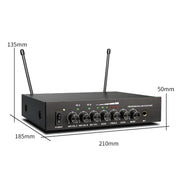 Microfono wireless Bluetooth con riverbero e ricevitore