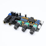 Scheda amplificatore microfono DC12-24V con riverbero PT2399