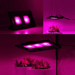 Luce LED per piante a spettro completo 50W 100W 150W