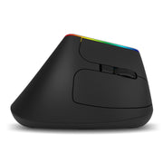 DELUX M618DB Mouse verticale wireless Bluetooth dual-mode a 6 tasti 1600 DPI RGB, M618DB(Bluetooth Version)