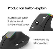 DELUX M618DB Mouse verticale wireless Bluetooth dual-mode a 6 tasti 1600 DPI RGB, M618DB(Bluetooth Version)