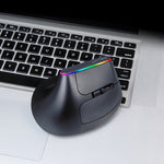DELUX M618DB Mouse verticale wireless Bluetooth dual-mode a 6 tasti 1600 DPI RGB, M618DB(Bluetooth Version)