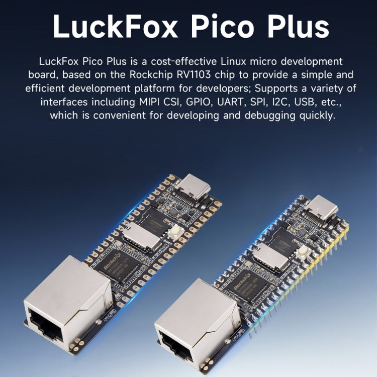 Scheda sviluppo micro Linux Waveshare LuckFox Pico Plus RV1103
