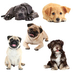 Adesivi per auto per cani di simulazione 3D Adesivi per auto con protezione solare a prova di pioggia Adesivi per decorazioni per la rasatura dei graffi, Style 1 Small, Style 2 Small, Style 3 Small, Style 4 Small, Style 5 Small, Style 1 Large          ...