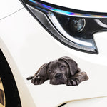 Adesivi per auto per cani di simulazione 3D Adesivi per auto con protezione solare a prova di pioggia Adesivi per decorazioni per la rasatura dei graffi, Style 1 Small, Style 2 Small, Style 3 Small, Style 4 Small, Style 5 Small, Style 1 Large          ...