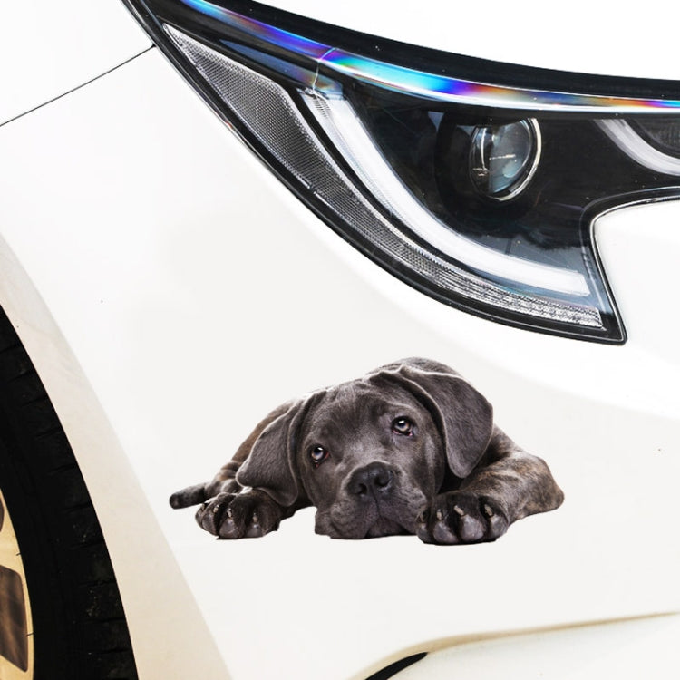 Adesivi per auto per cani di simulazione 3D Adesivi per auto con protezione solare a prova di pioggia Adesivi per decorazioni per la rasatura dei graffi, Style 1 Small, Style 2 Small, Style 3 Small, Style 4 Small, Style 5 Small, Style 1 Large          ...