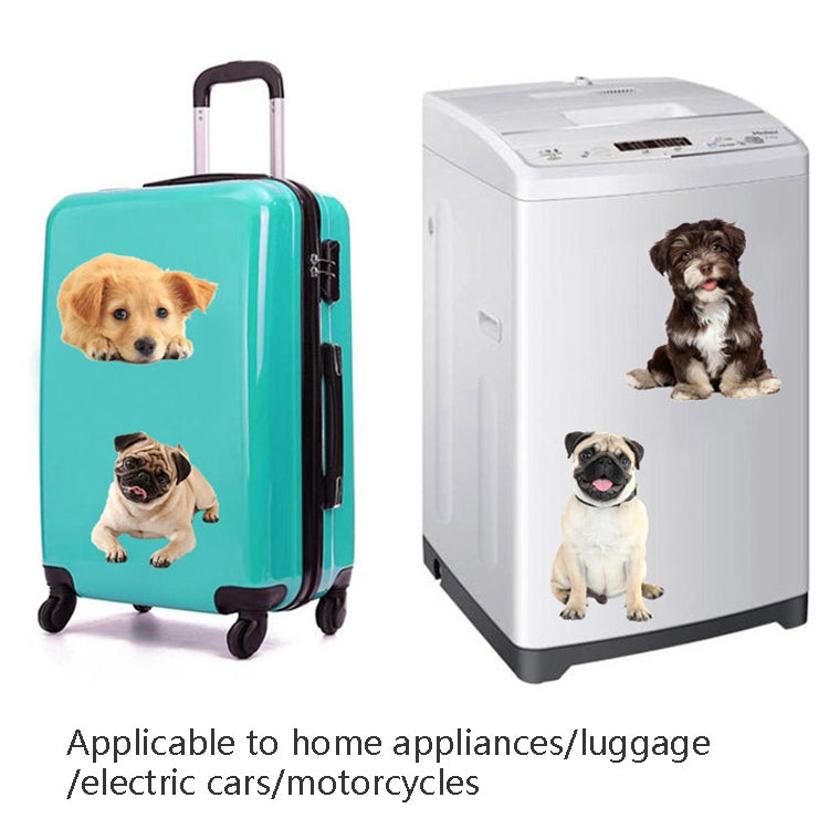 Adesivi per auto per cani di simulazione 3D Adesivi per auto con protezione solare a prova di pioggia Adesivi per decorazioni per la rasatura dei graffi, Style 1 Small, Style 2 Small, Style 3 Small, Style 4 Small, Style 5 Small, Style 1 Large          ...