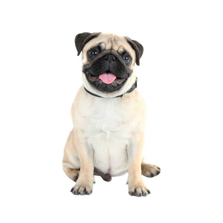 Adesivi per auto per cani di simulazione 3D Adesivi per auto con protezione solare a prova di pioggia Adesivi per decorazioni per la rasatura dei graffi, Style 1 Small, Style 2 Small, Style 3 Small, Style 4 Small, Style 5 Small, Style 1 Large          ...