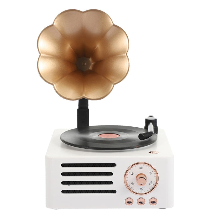 Giradischi Retro T15 Bluetooth Multifunzionale