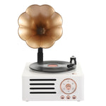 Giradischi Retro T15 Bluetooth Multifunzione