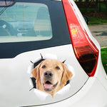 4 PCS Simulazione 3D Adesivi per auto di personalità animale Adesivi per auto in vetro Graffi per auto Adesivi decorativi per occlusione, Dog Head 2, Cat Style 1, Cat Style 2, Cat Style 4, Cat Style 5, Cat Style 6