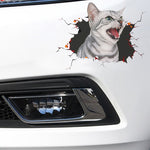 4 PCS Simulazione 3D Adesivi per auto di personalità animale Adesivi per auto in vetro Graffi per auto Adesivi decorativi per occlusione, Dog Head 2, Cat Style 1, Cat Style 2, Cat Style 4, Cat Style 5, Cat Style 6