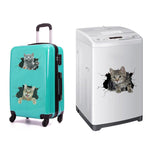 4 PCS Simulazione 3D Adesivi per auto di personalità animale Adesivi per auto in vetro Graffi per auto Adesivi decorativi per occlusione, Dog Head 2, Cat Style 1, Cat Style 2, Cat Style 4, Cat Style 5, Cat Style 6